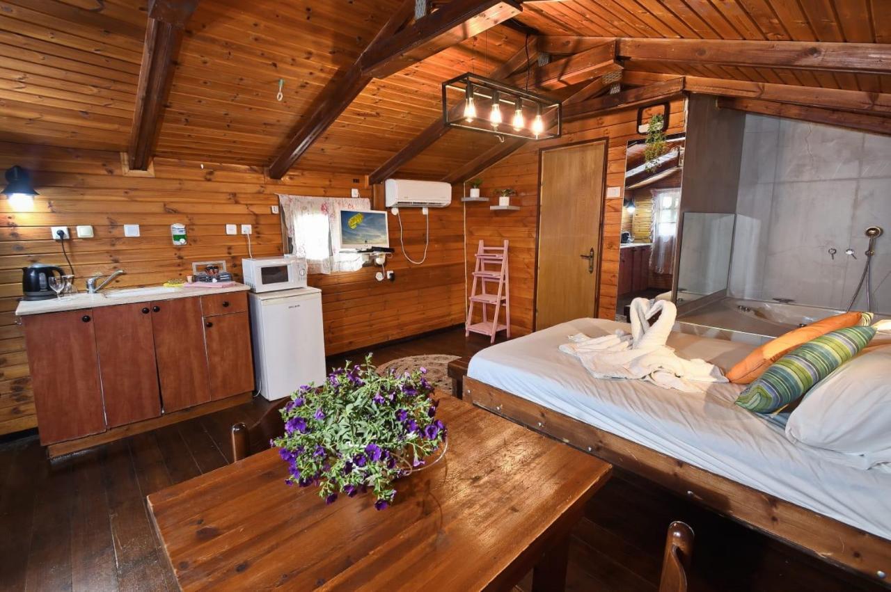 פינה במעיין Villa Mishmār Hāyardin Bagian luar foto