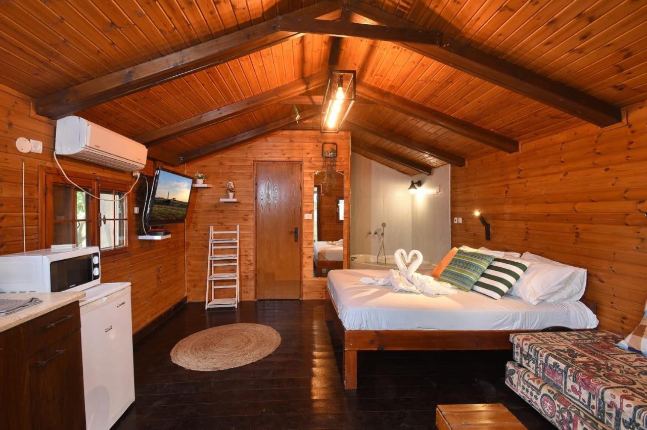 פינה במעיין Villa Mishmār Hāyardin Bagian luar foto